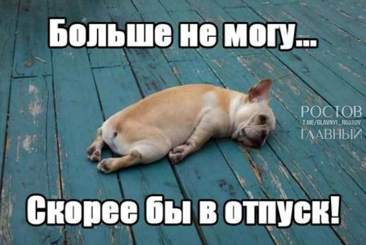 В Госдуме предложили повысить минимальную продолжительность отпуска с 28 до 35 дней, чтобы компенсировать включённые в отпуск выходные и снизить риск профессионального выгорания.