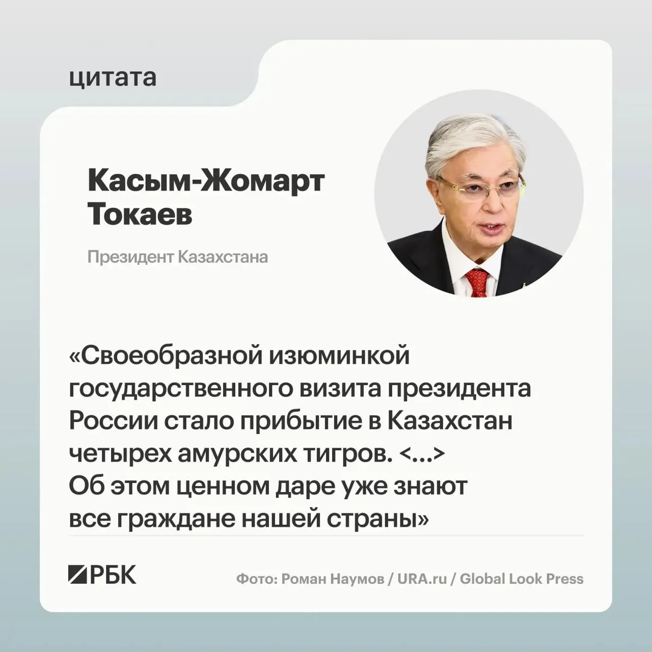 Президентам России и Казахстана показали презентацию о тиграх, которых передали Астане в рамках помощи республике по восстановлению популяции амурского тигра.