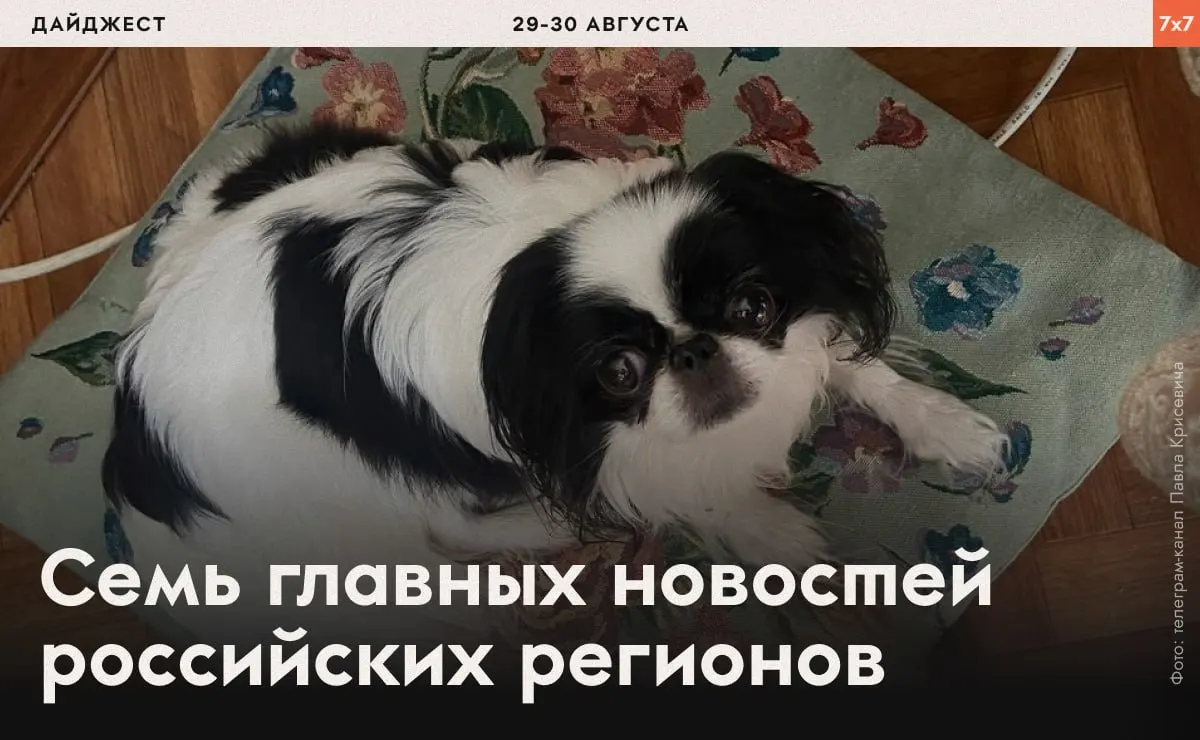 Коротко о том, как власти реагируют на активистов и региональные инициативы: от принудительных пробежек в СИЗО до запретов на строительство и разведение рыбы в водоемах.