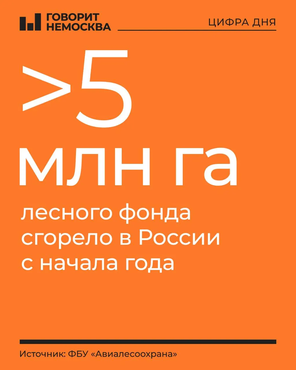 Площадь возгораний за год сопоставима с размерами небольшой европейской страны; регионы Дальнего Востока и Сибири остаются в эпицентре пожаров.