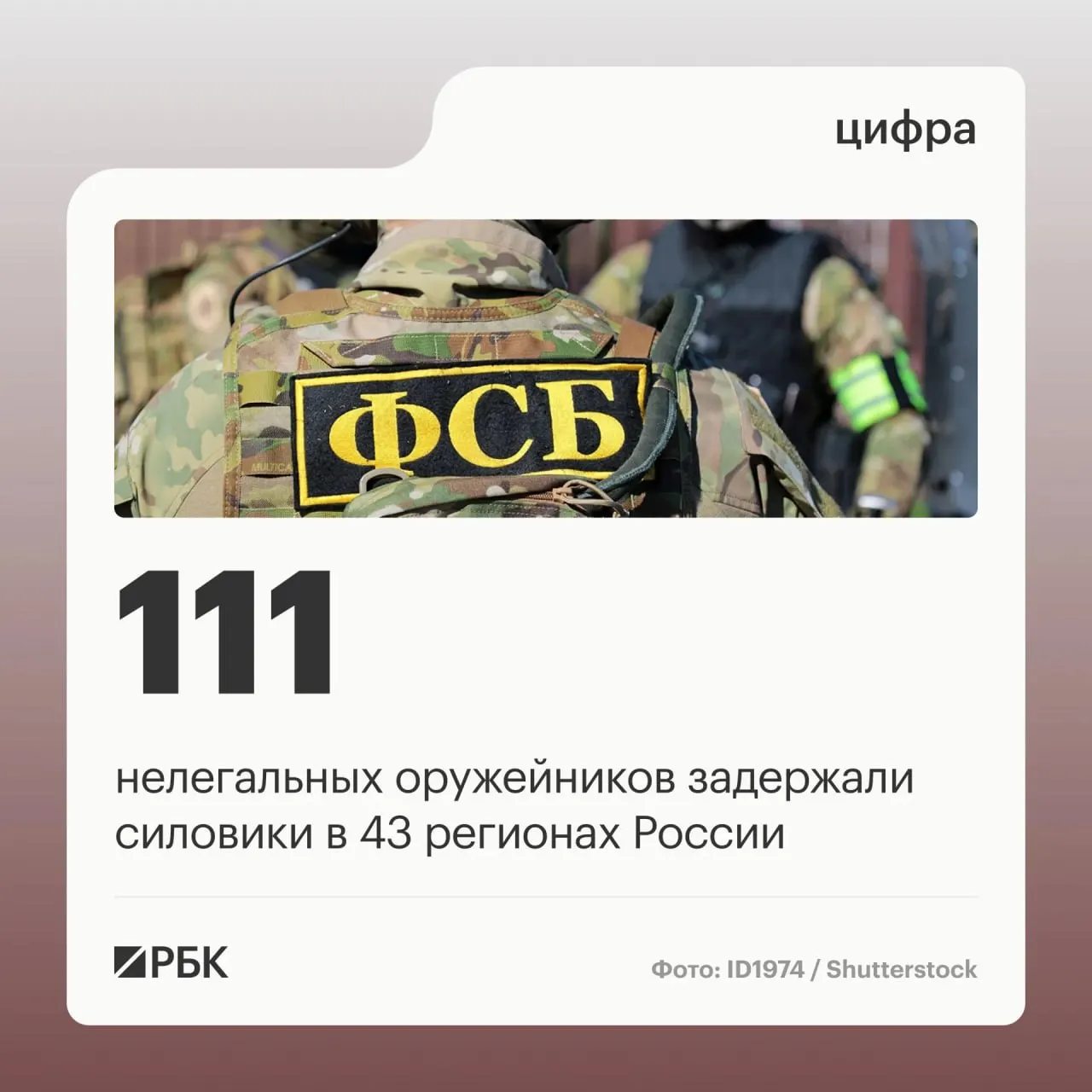 Силовые структуры пресекли схему незаконного оборота оружия: 111 задержанных, ликвидировано 37 подпольных мастерских; операции прошли в 43 регионах.