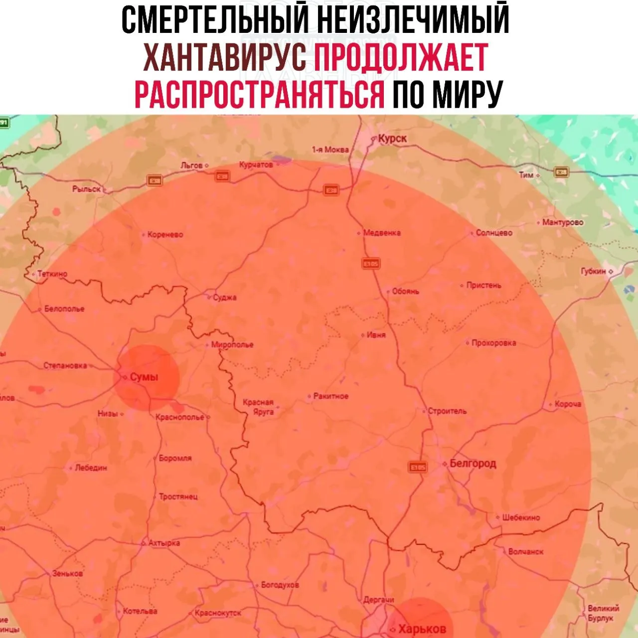 Поступают сообщения о случаях хантавирусной инфекции в отдельных областях Украины; среди регионов на границе названы и российские области, включая Брянскую. Описаны симптомы и данные о летальности.