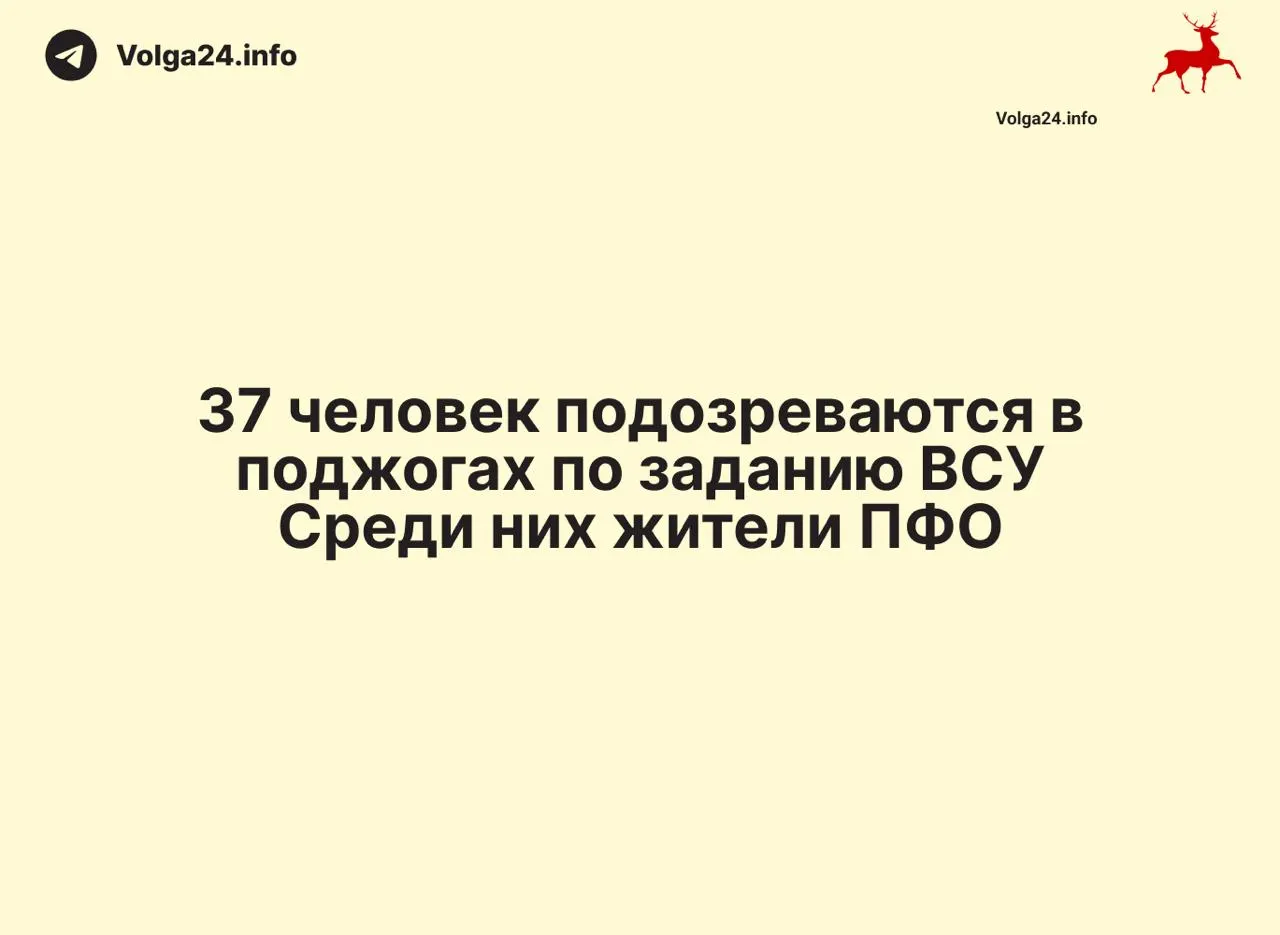 Операции прошли в Москве, Петербурге и нескольких республиках; у подозреваемых изъяли более 50 сим‑боксов и около 8 тысяч SIM‑карт. Возбуждены уголовные дела, также задержаны 37 человек по подозрению в поджогах инфраструктуры.