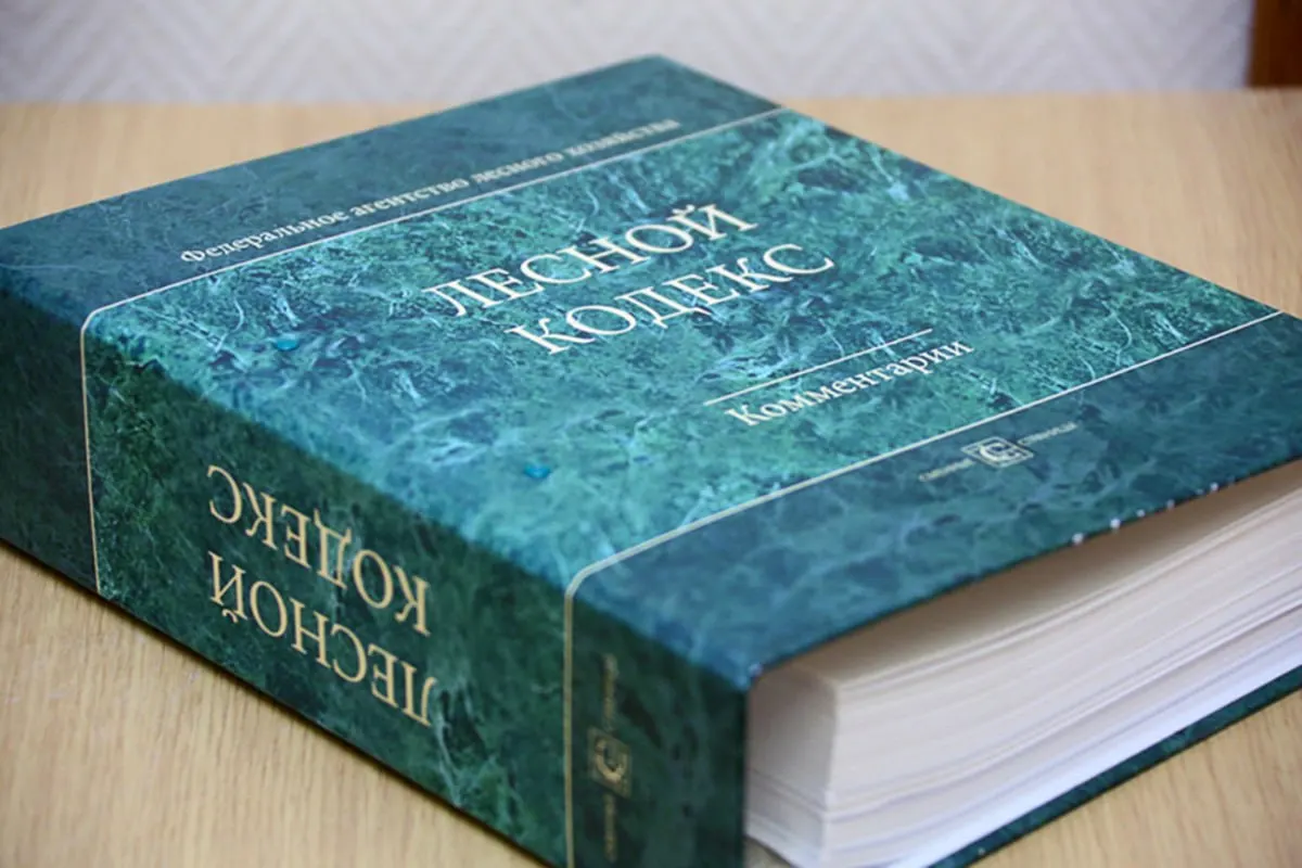 Эксперт по лесному хозяйству отмечает, что многочисленные поправки сделали кодекс неактуальным; он предлагает заменить документ и резко упростить регулирование.