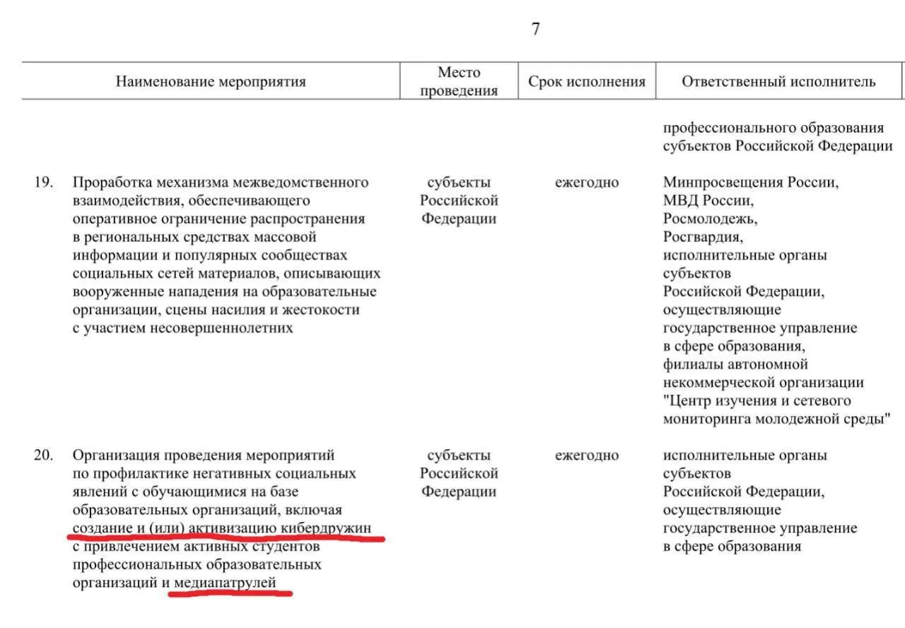 Правительство планирует до 2030 года развернуть в регионах сеть кибердружин из учащихся колледжей и техникумов для поиска «негативного контента» в соцсетях.