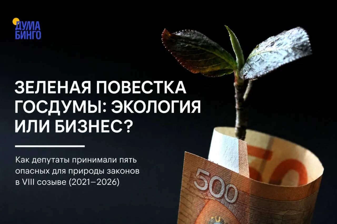 За пять лет в парламенте прошли инициативы, которые критики называют ослаблением природоохранного регулирования: от ограничения общественной экспертизы до изменения режима охраны заповедников и правил добычи редких видов. Ключевые решения часто проходят при поддержке «Единой России».