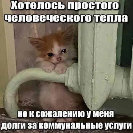 Верховный суд подтвердил, что срок исковой давности в три года не позволяет операторам капремонта включать в платёжки начисления за период старше трёх лет; это лишает кредитора механизмов принудительного взыскания.