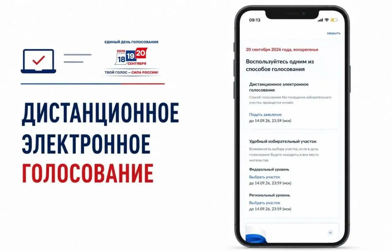Официально началась подача заявлений на участие в дистанционном голосовании через портал госуслуг; текст содержит критическую оценку системы и риск искажений итогов.