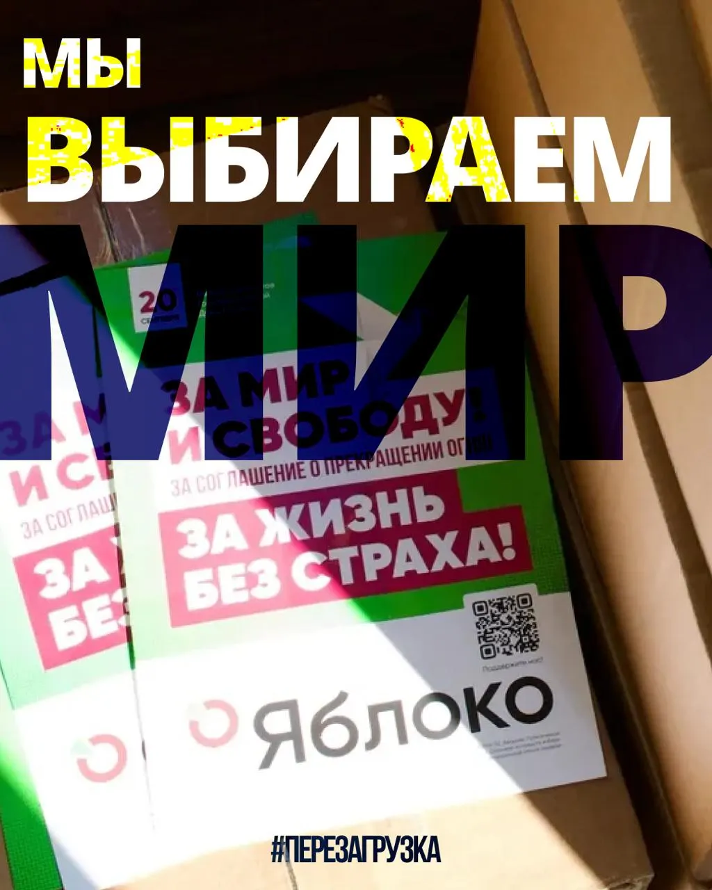 В 53 регионах проходят кампании 135 кандидатов от партии; карта регионов позволяет выбрать свой регион и увидеть сторонников мира и свободы.