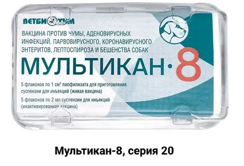 Владельцы сообщают о гибелях питомцев после прививки вакциной Мультикан-8 и требуют независимого расследования; данные по регионам вызывают тревогу.