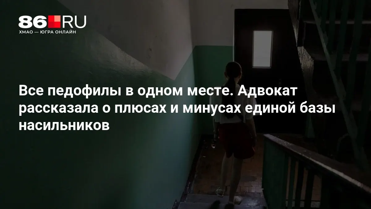 МВД занимается разработкой системы; адвокат делится оценками преимуществ и рисков