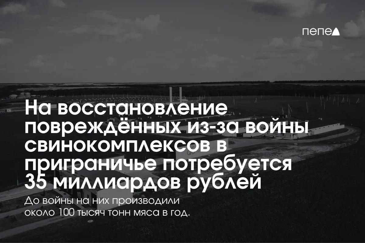 На восстановление свинокомплексов в приграничных Белгородской, Курской и Брянской областях потребуется около 35 млрд рублей.